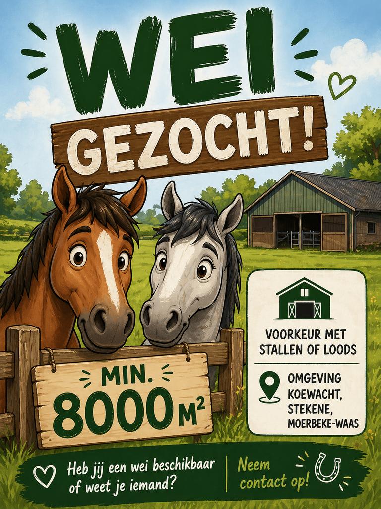 Weide / stalling gezocht, Animaux & Accessoires, Box & Pâturages, Mise à l'étable
