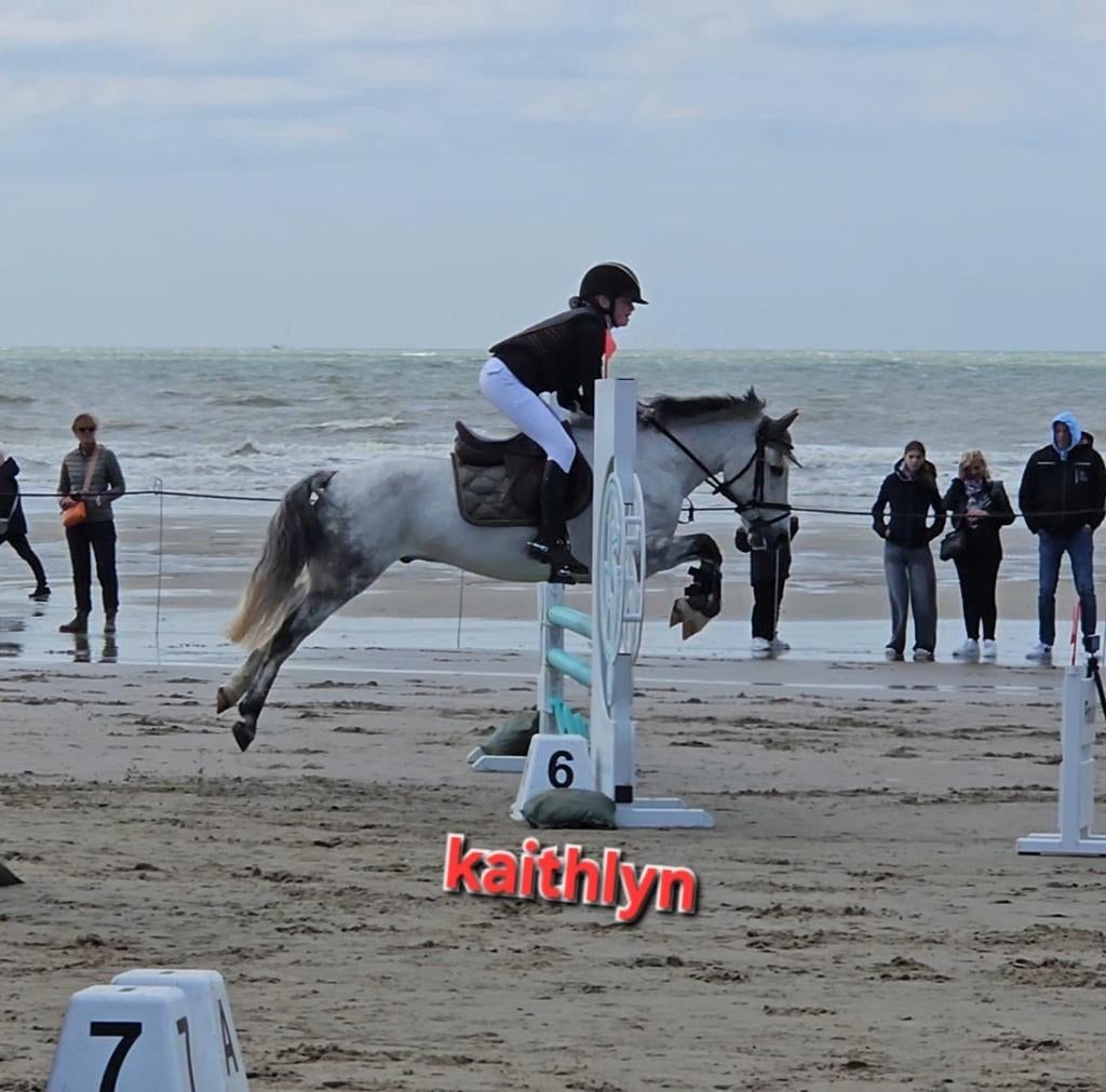 lieve c pony, Animaux & Accessoires, Poneys, Vermifugé, Poney C (1.27 m à 1.37m), 11 ans ou plus, Hongre
