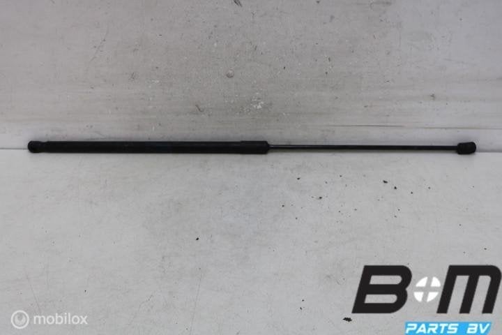 Gasdrukveer motorkap Audi A6 4K 4K0823359, Gebruikt