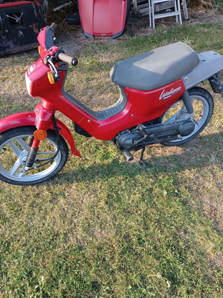 Honda Wallaroo AB25 Classe A – Full origine, Motos, Scooter, Occasion, Manuelle, 49 cm³