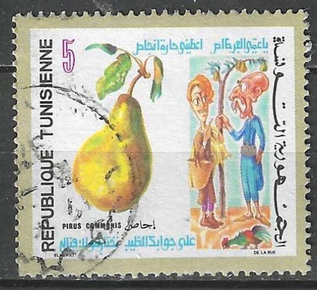 Tunisie 1971 - Yvert 704 - Fleurs, fruits et folklore (ST), Envoi, Affranchi