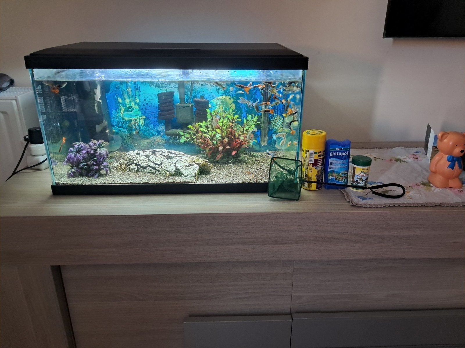 Volledige aquarium, Animaux & Accessoires, Poissons | Aquariums & Accessoires, Enlèvement, Chauffage