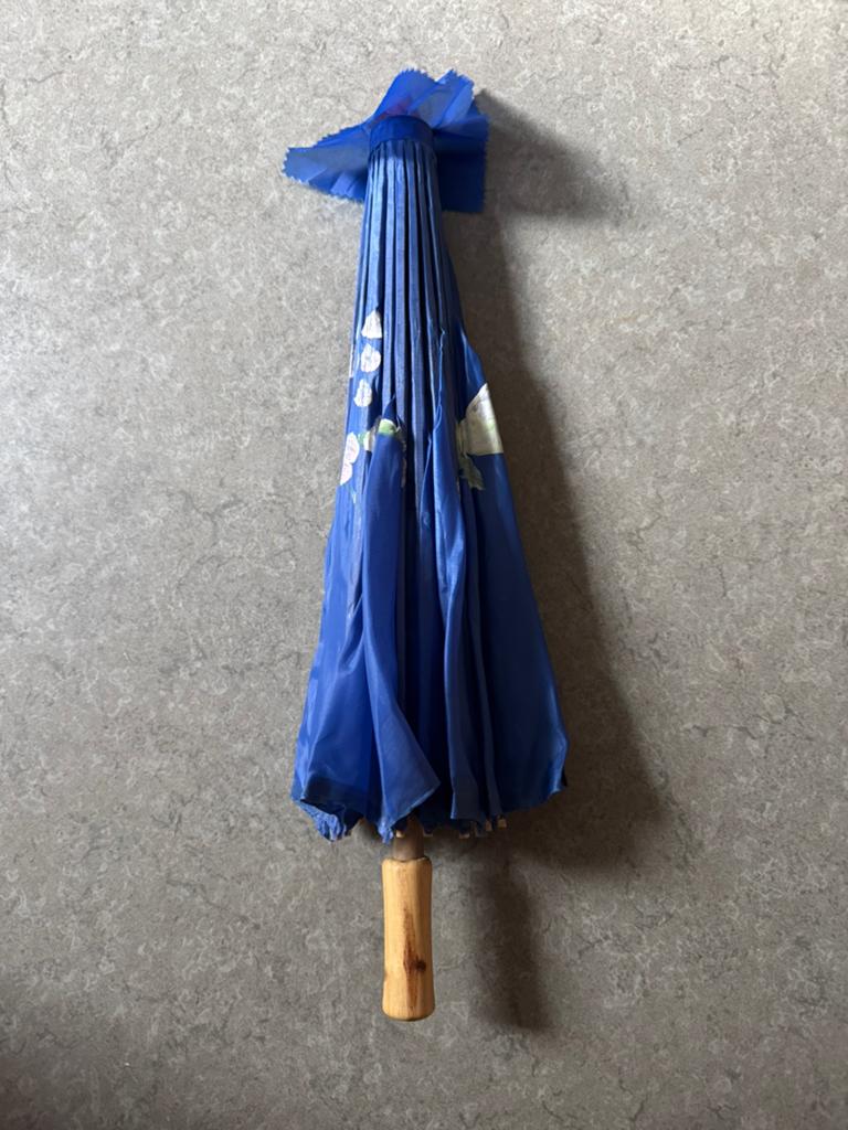 Paraplu, Ophalen of Verzenden, Zo goed als nieuw