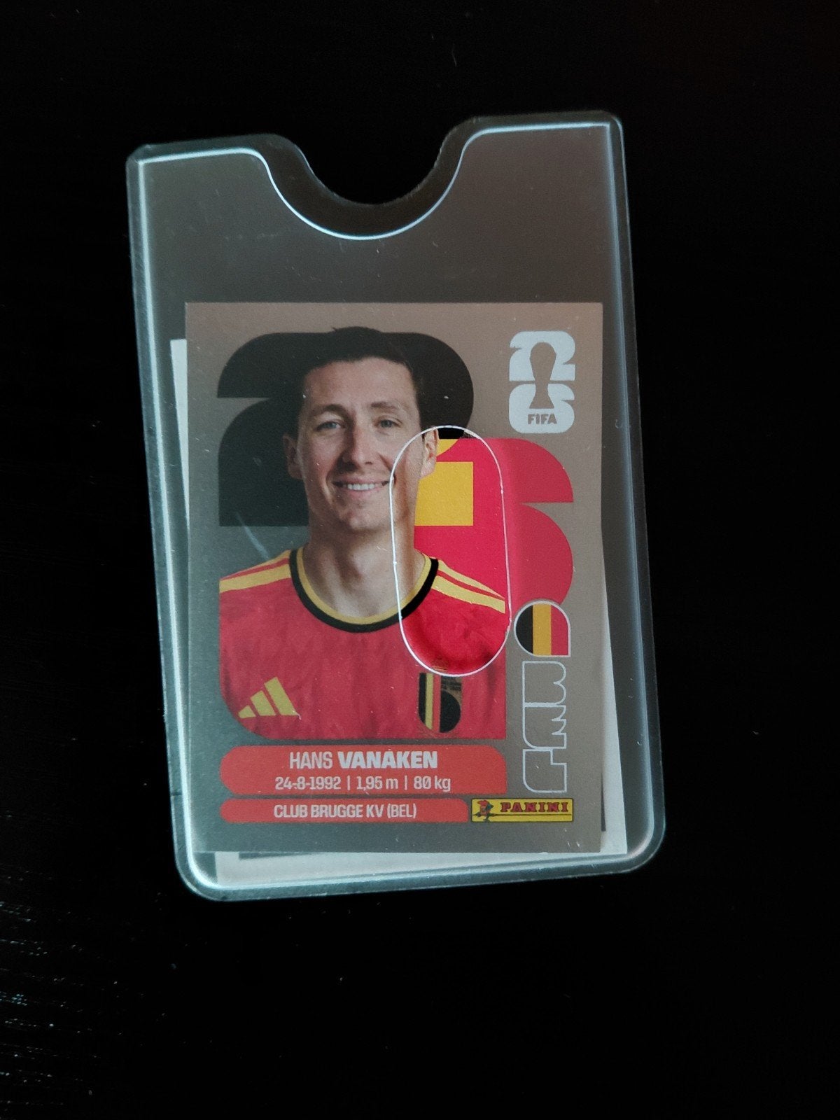 Panini, Enlèvement ou Envoi