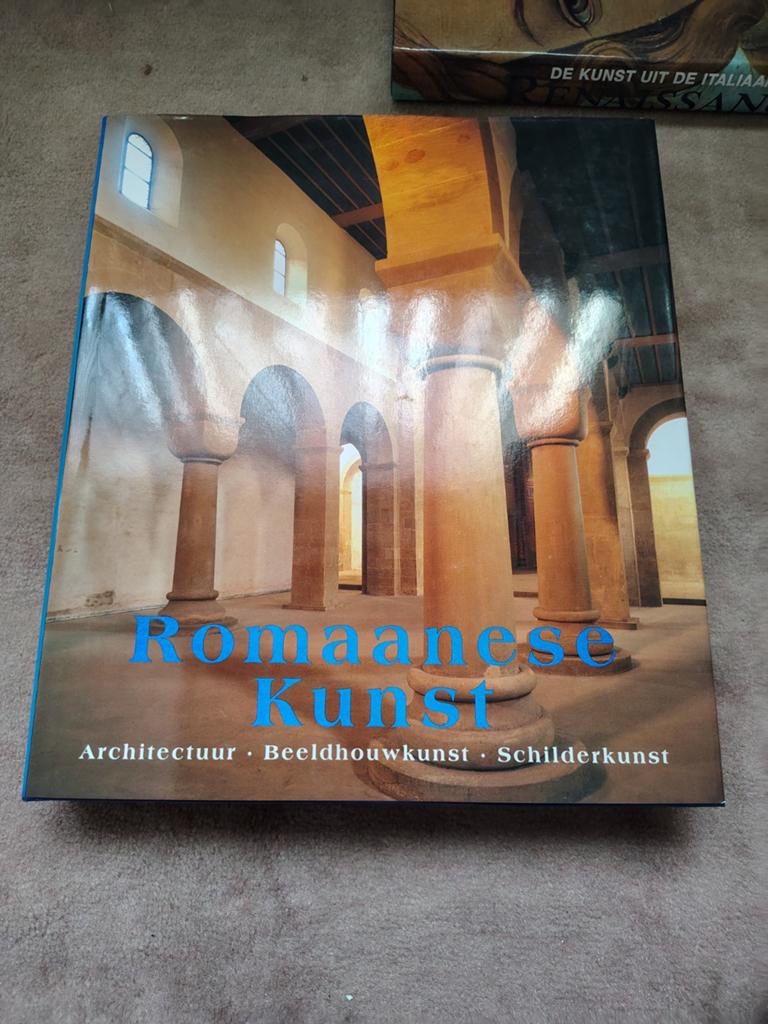 Boek Romaanse kunst, Boeken, Kunst en Cultuur | Architectuur, Ophalen of Verzenden