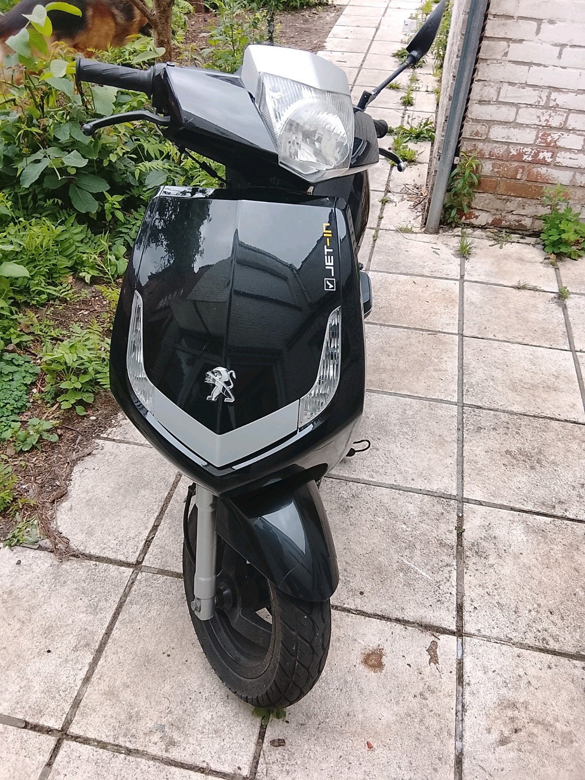 Peugeot New Vivacity 50cc B-Klasse met papieren – Vernieuwd!, Fietsen en Brommers, Brommers | Overige merken, Ophalen