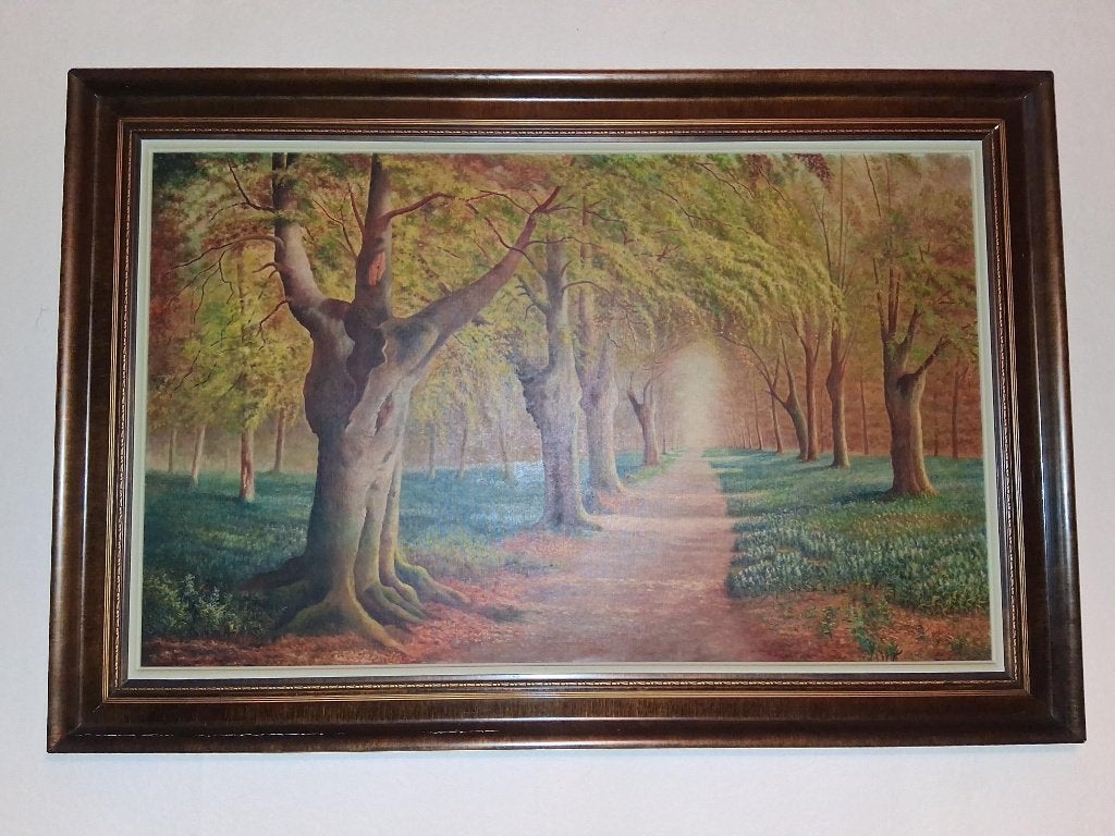 Groot Schilderij Roels R. 1964, Antiek en Kunst, Ophalen, Bijzondere lijst, Landschap, Olieverf