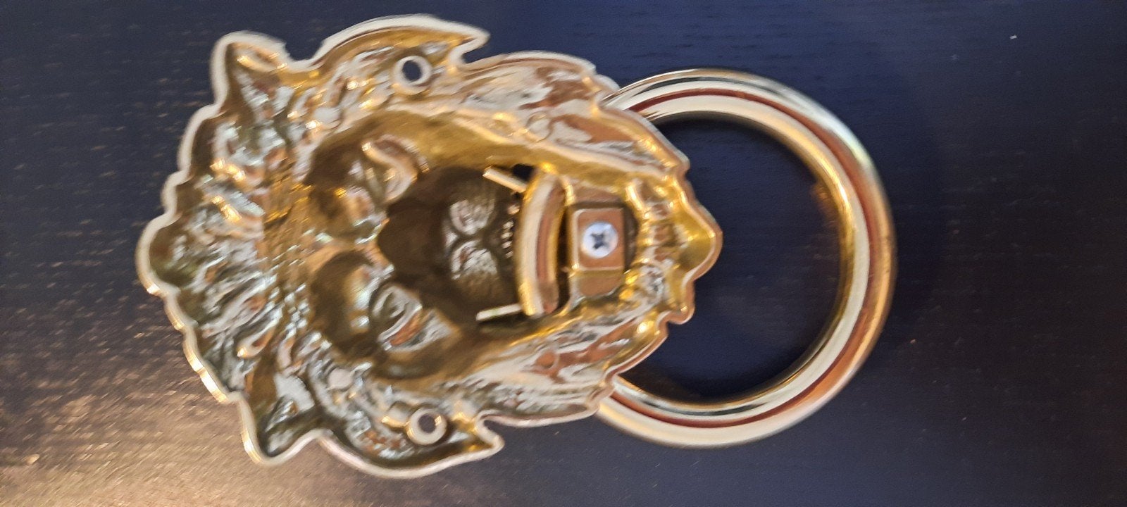 Magnifique tête de lion butoir pour porte porte, Enlèvement, Cuivre