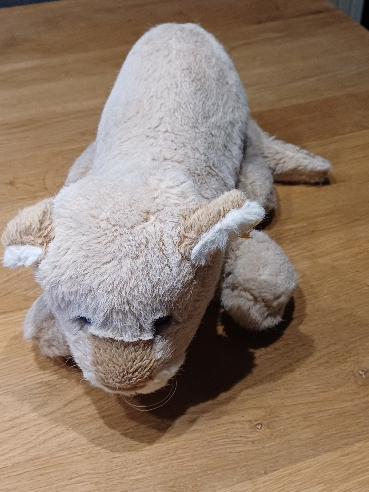 Leeuwtje van Steiff met knopje en vaantje, Ophalen of Verzenden