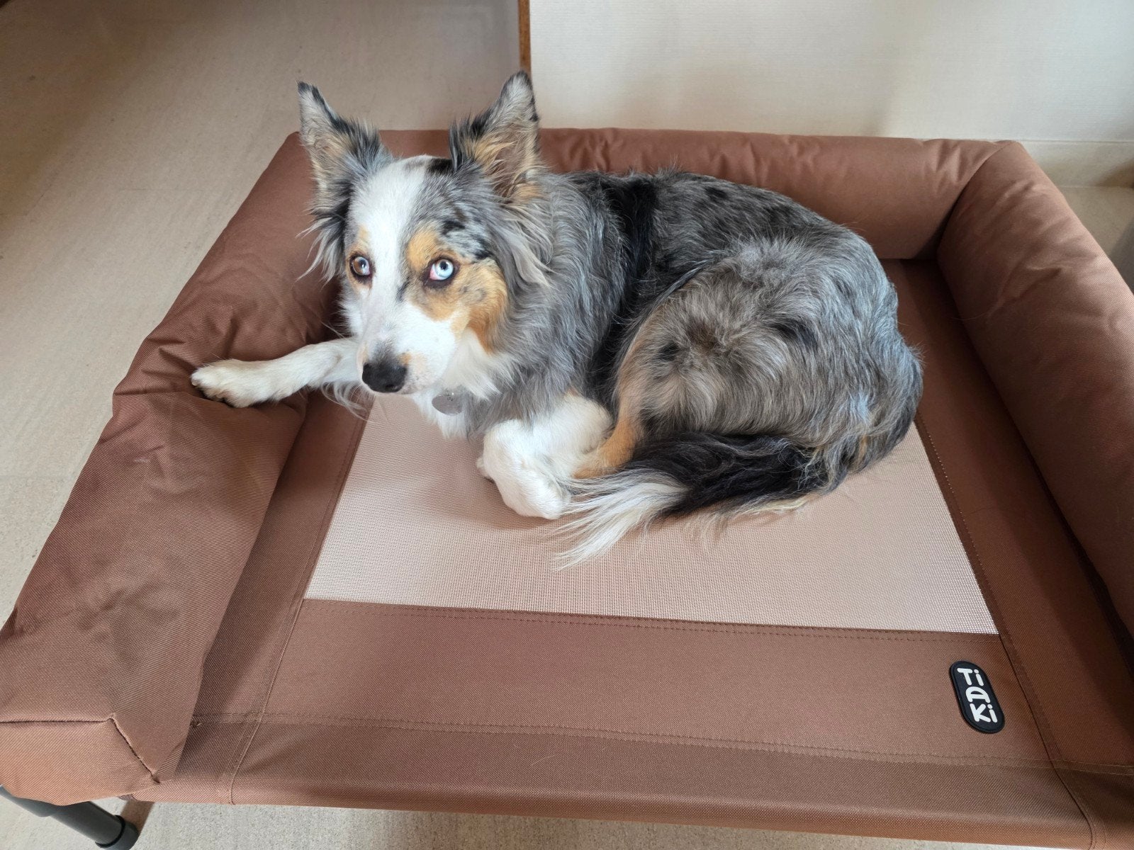 Lit ou panier pour chiens de taille moyenne comme notre bord, Animaux & Accessoires, Autres marques, Enlèvement, Neuf, Panier pour chien