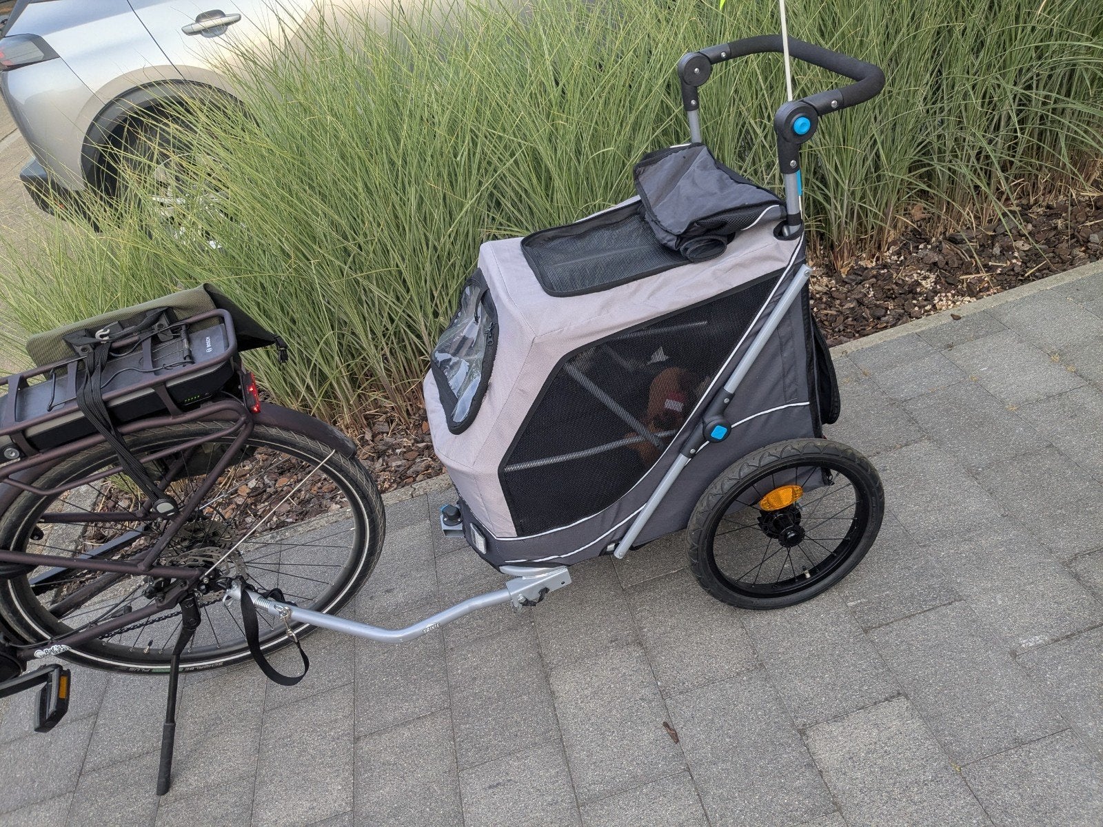 remorque de vélo pour chien, Vélos & Vélomoteurs, Accessoires vélo | Remorques, Enlèvement