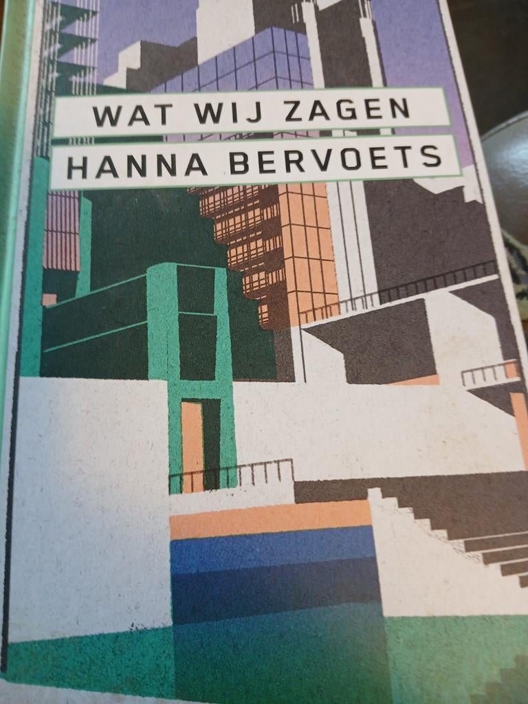 Wat wij zagen. Auteur: Hanna Bervoets, Boeken, Ophalen of Verzenden