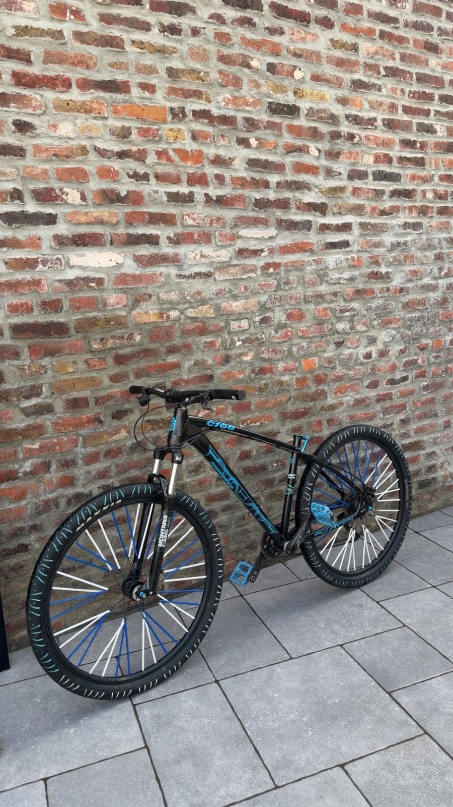 VTT C100, Vélos & Vélomoteurs, Enlèvement, Comme neuf