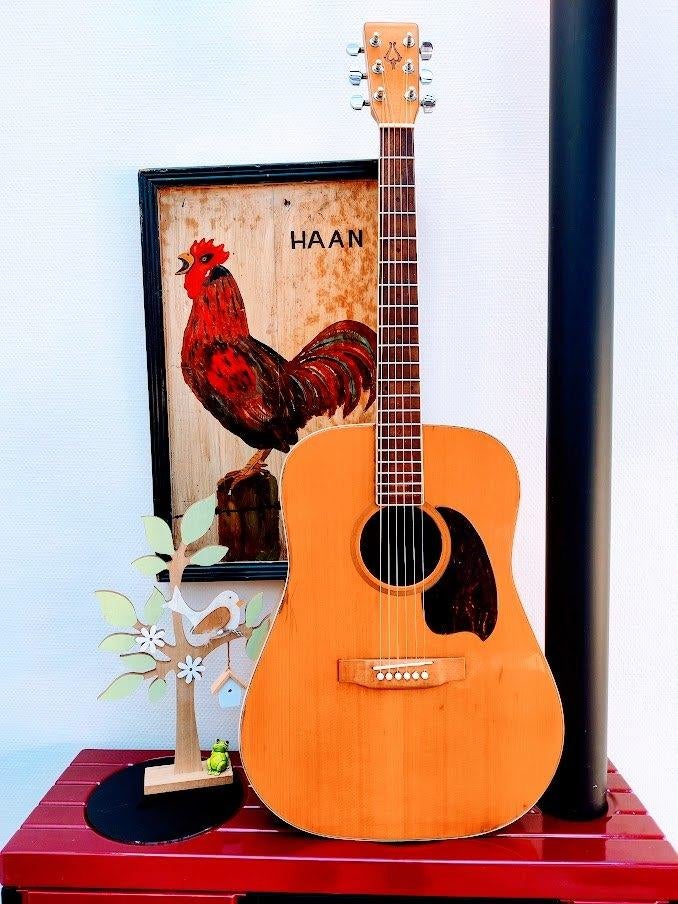(fin 1970) YAMAKI /DAION /Mugen Mark 3 /guitare acoustique., Musique & Instruments, Enlèvement ou Envoi, Utilisé, Guitare Western ou Guitare Folk