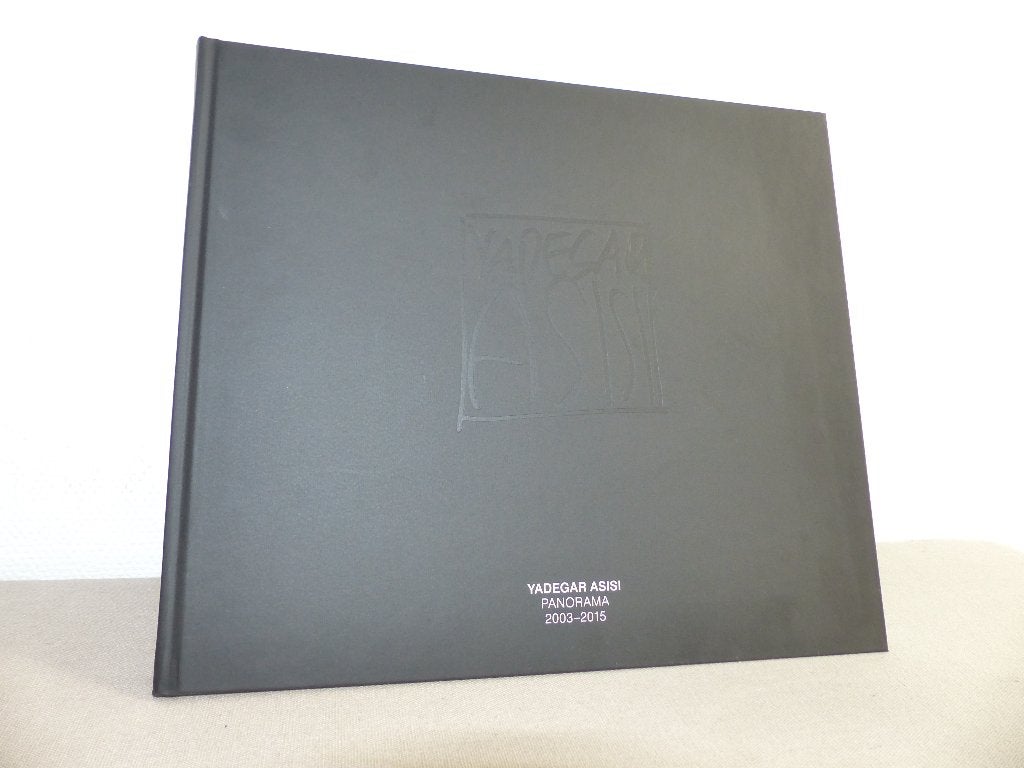 Fotoboek Yadegar Asisi, Boeken, Ophalen of Verzenden, Zo goed als nieuw, Fotografen