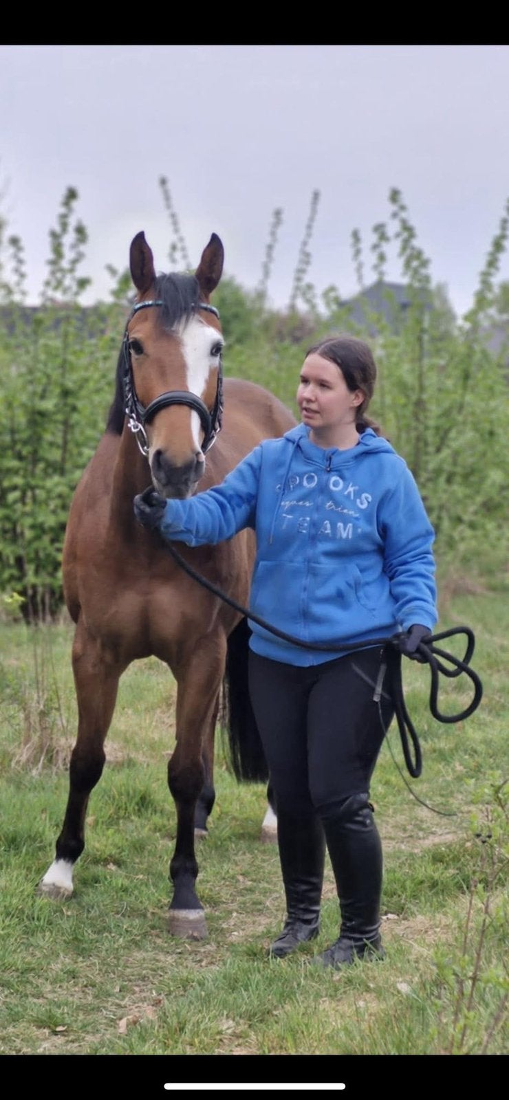 Paard te koop, Dieren en Toebehoren, Gechipt, Minder dan 160 cm, Ruin, Niet van toepassing