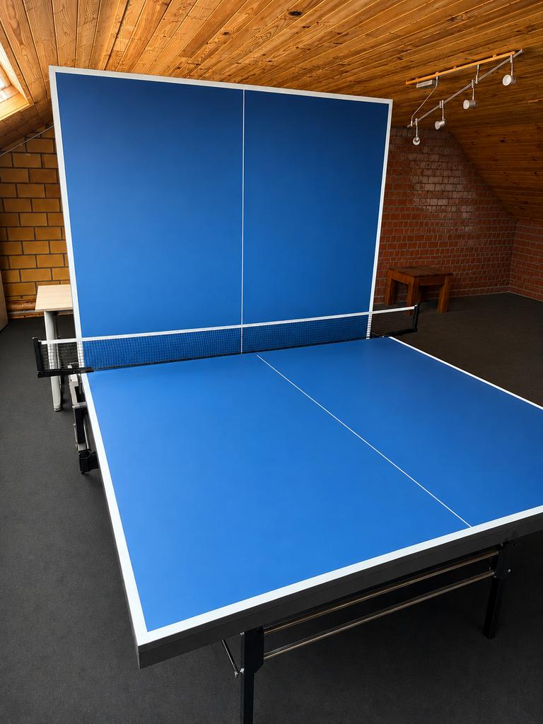 Pingpongtafel in zeer goeie staat, Sport en Fitness, Tafeltennis, Ophalen, Gebruikt, Tafel Indoor, Verrijdbaar