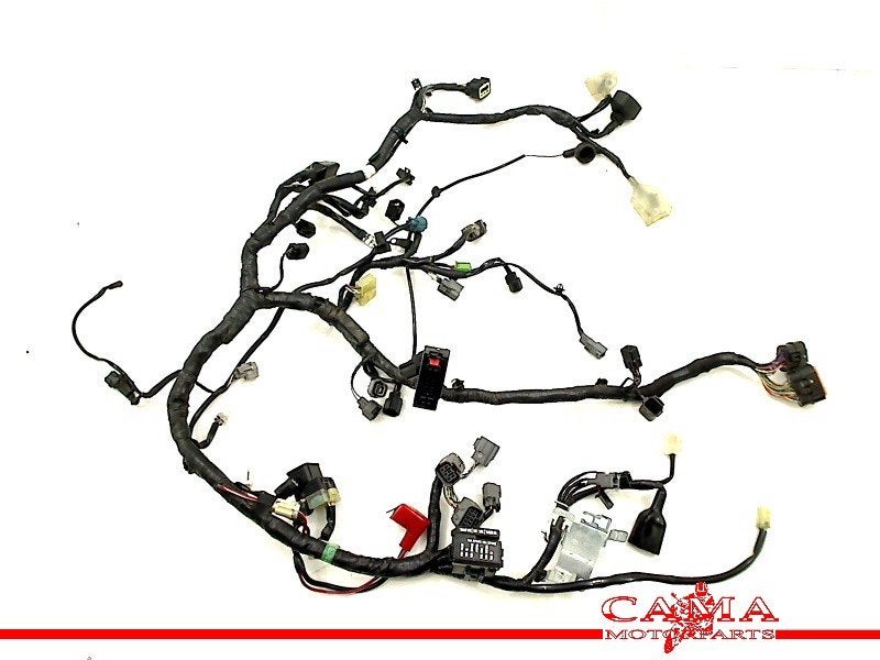 KABELBOOM NINJA 300 2013-2016 (ZXR300 EX300A-B ZX 300 R), Dhr. S. di Majo, Gebruikt, Info@cama-motorparts.nl, P.J. Troelstraweg 8 8
3144 CX  MAASSLUIS, NL
