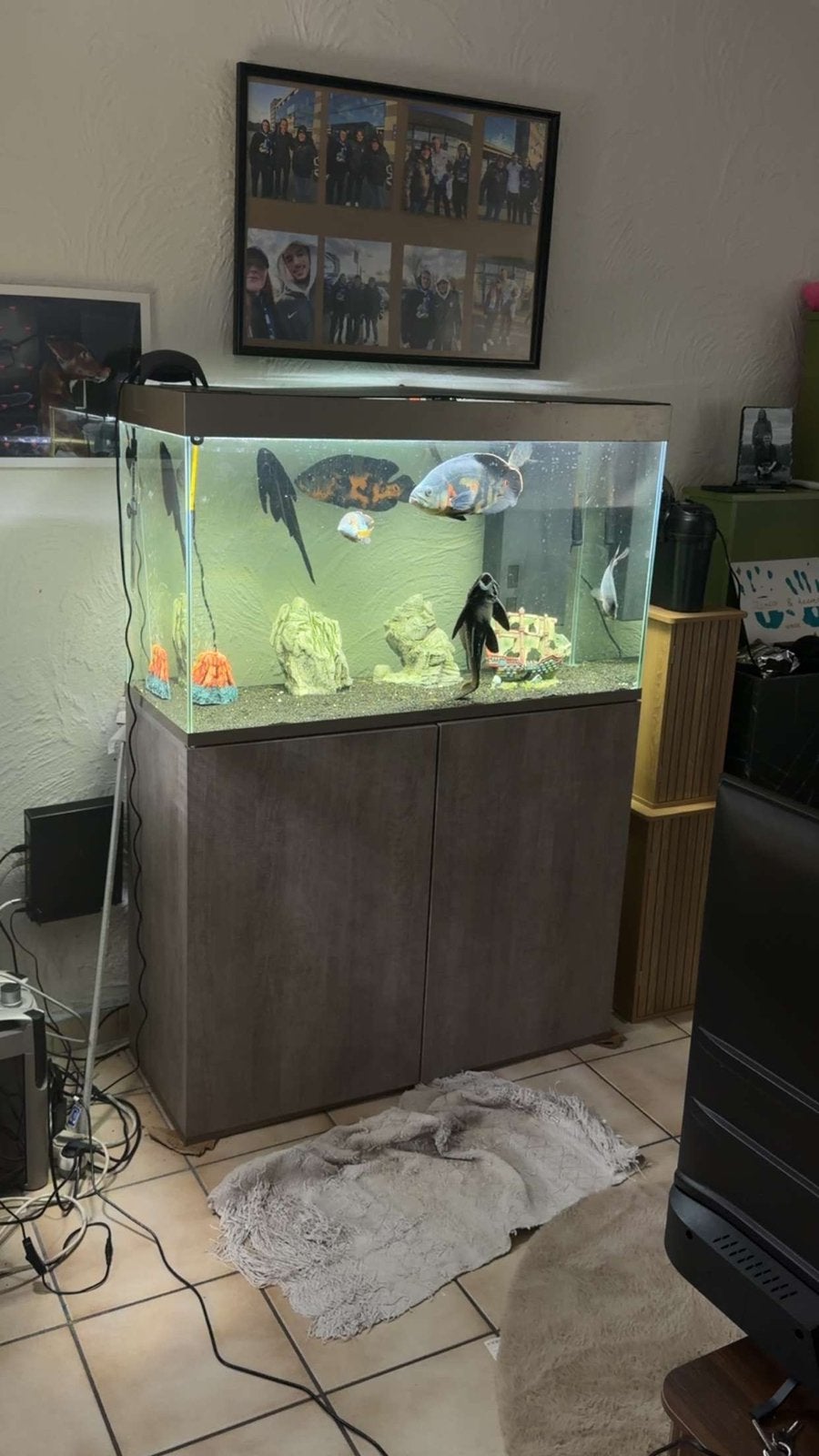 Aquarium te koop, Dieren en Toebehoren, Ophalen, Pomp, Zo goed als nieuw, Filter