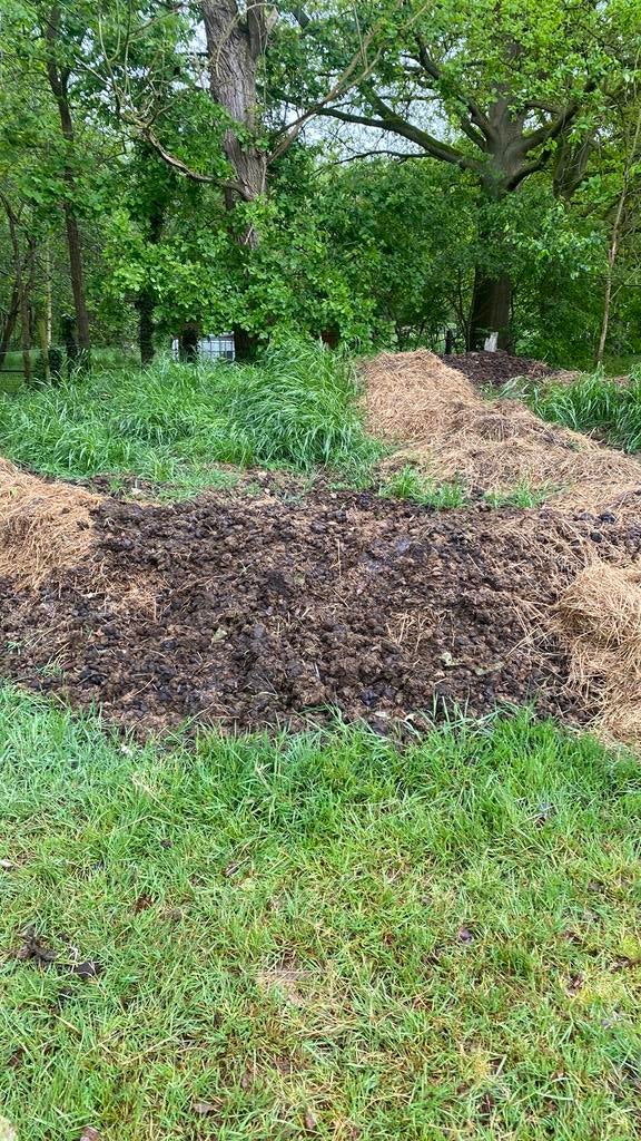Gratis paardemest, Ophalen