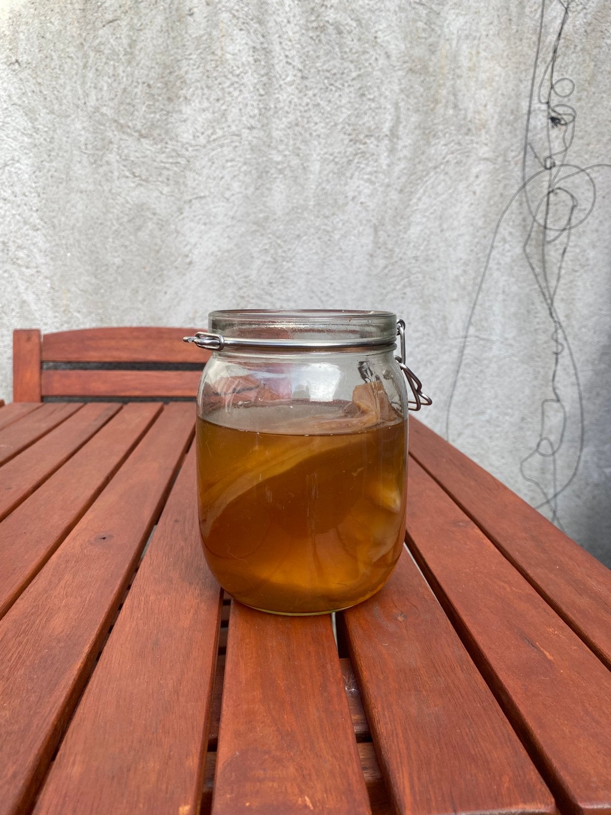 kombucha SCOBY + startvloeistof, Enlèvement