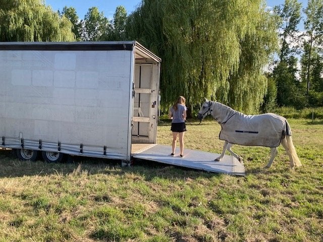 Remorque BE - remorque pour chevaux - remorque BE, Animaux & Accessoires, Enlèvement, Utilisé, Autres matériaux, Autres types