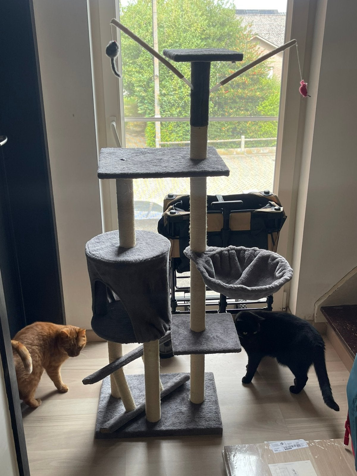 Kitten krabpaal, Dieren en Toebehoren, Krabmeubelen, Ophalen, Zo goed als nieuw, Krabpaal