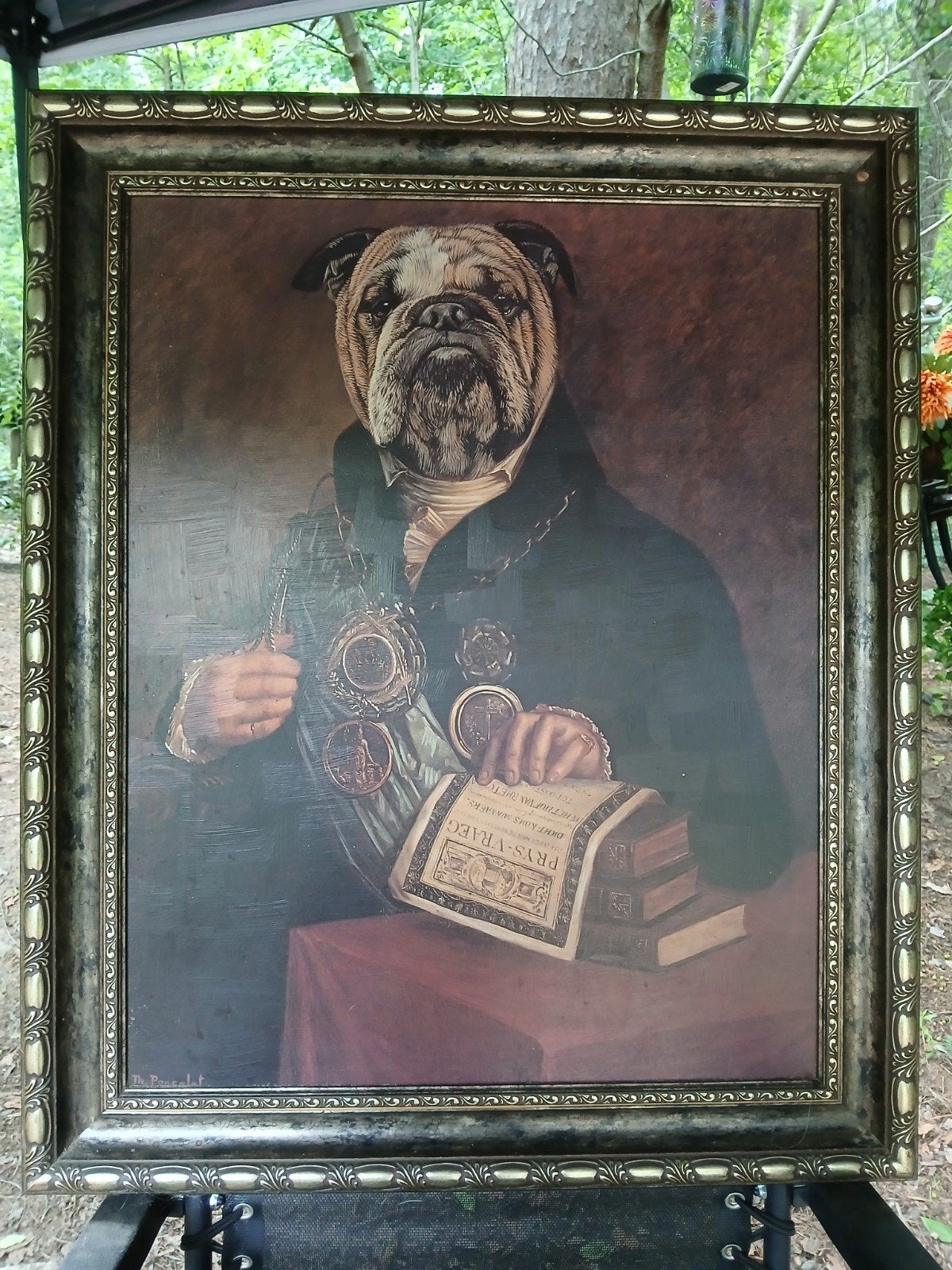 Prachtig groot Engels Bulldog portret,  luxe klassieke lijst, Ophalen
