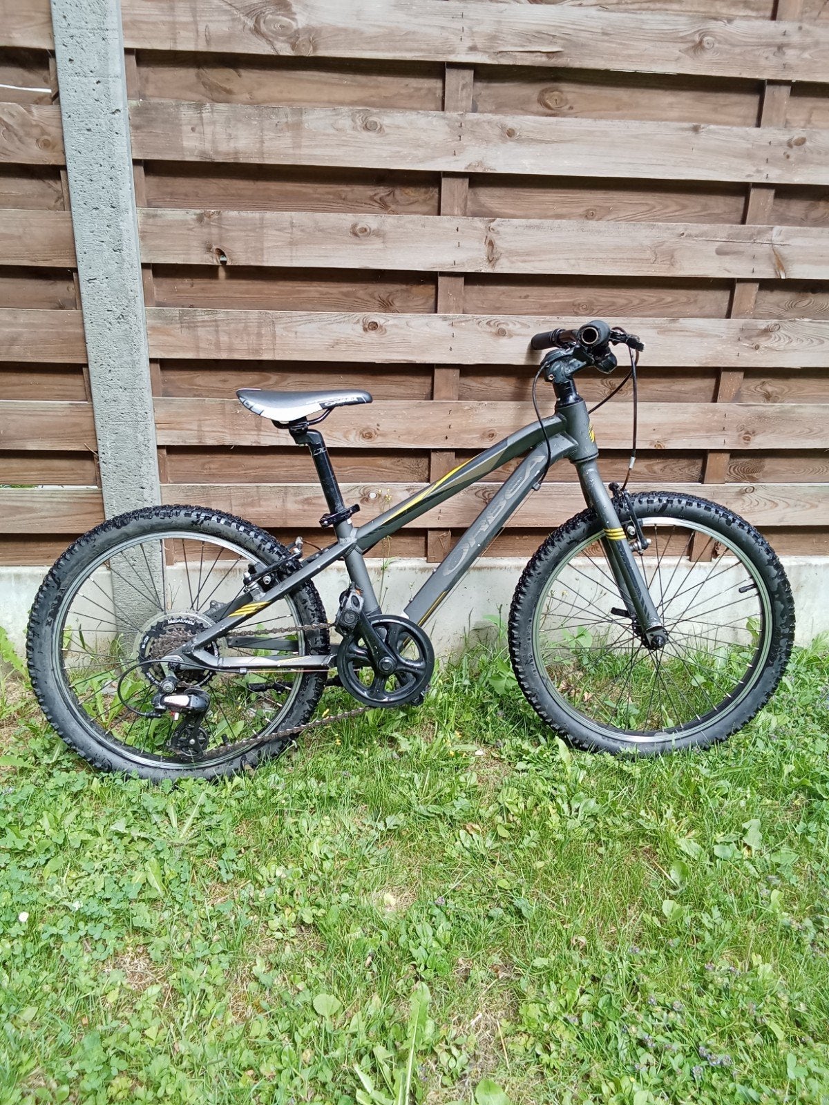 vtt orbea de 20 pouces, Vélos & Vélomoteurs, Enlèvement