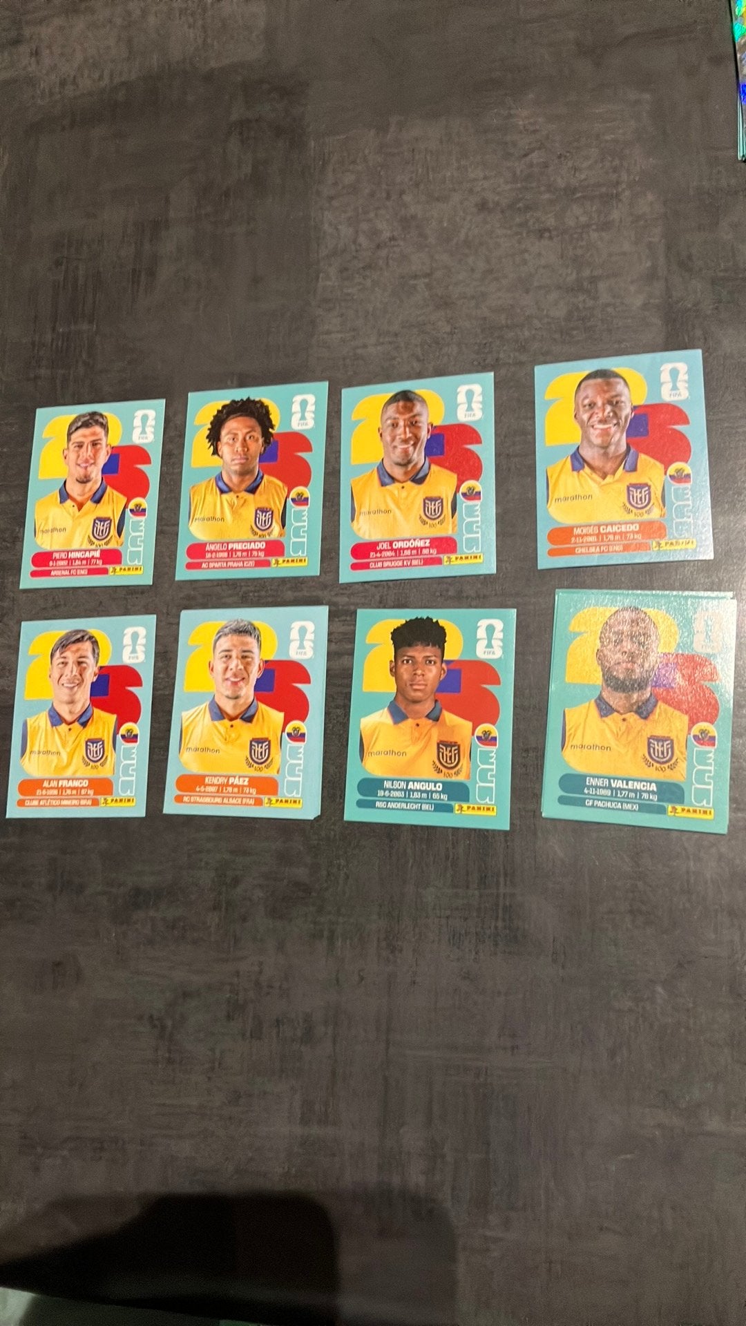 Panini stickers World Cup 2026 Ecuador, Ophalen of Verzenden, Nieuw