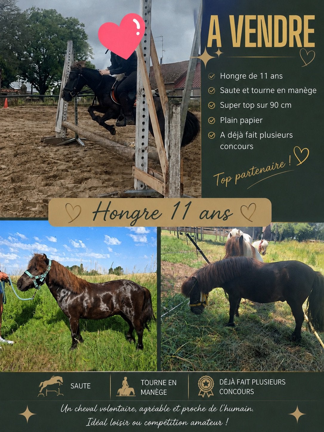 A vendre, Animaux & Accessoires, Enlèvement