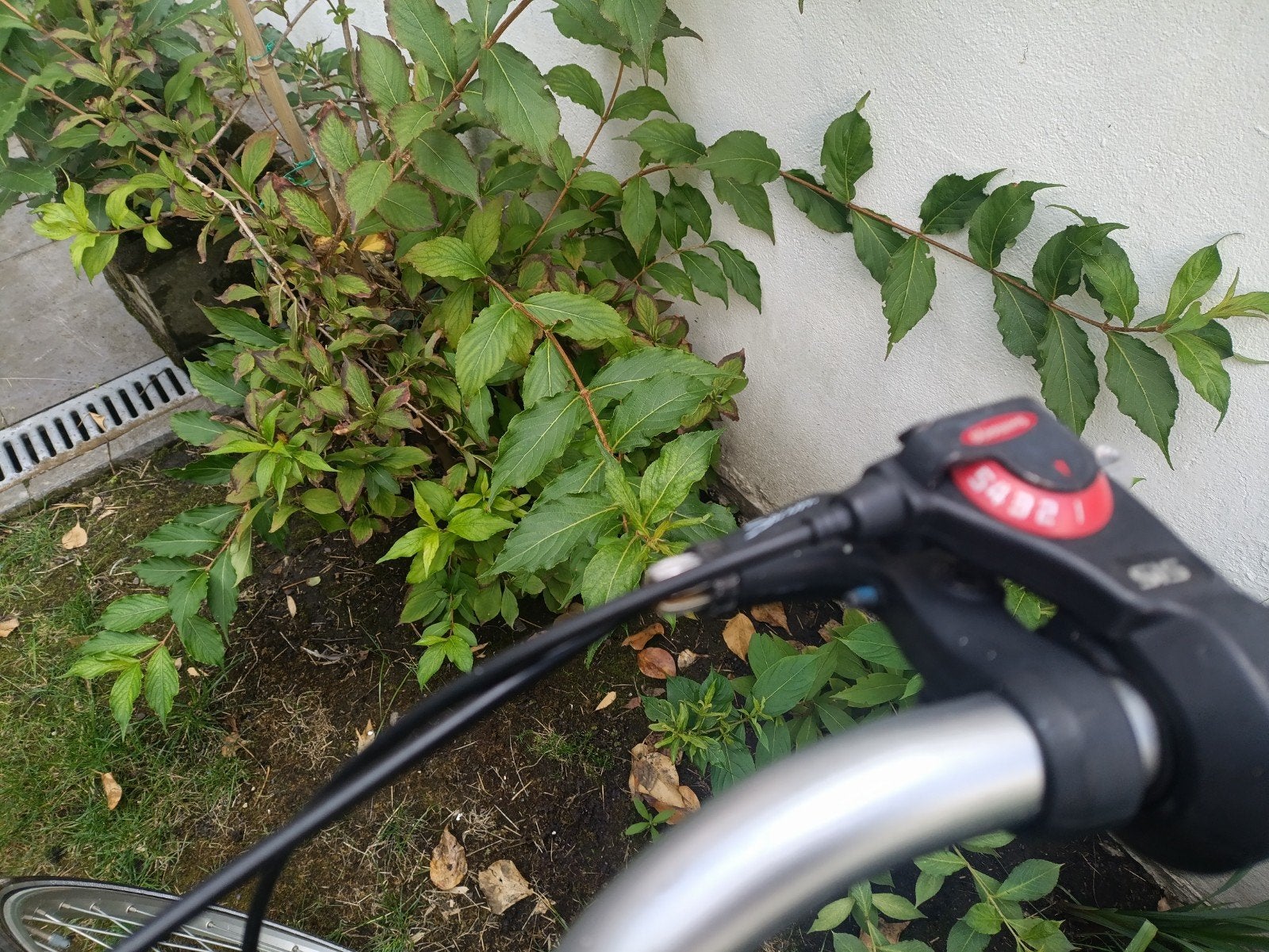 vélo minerva, Vélos & Vélomoteurs, Enlèvement