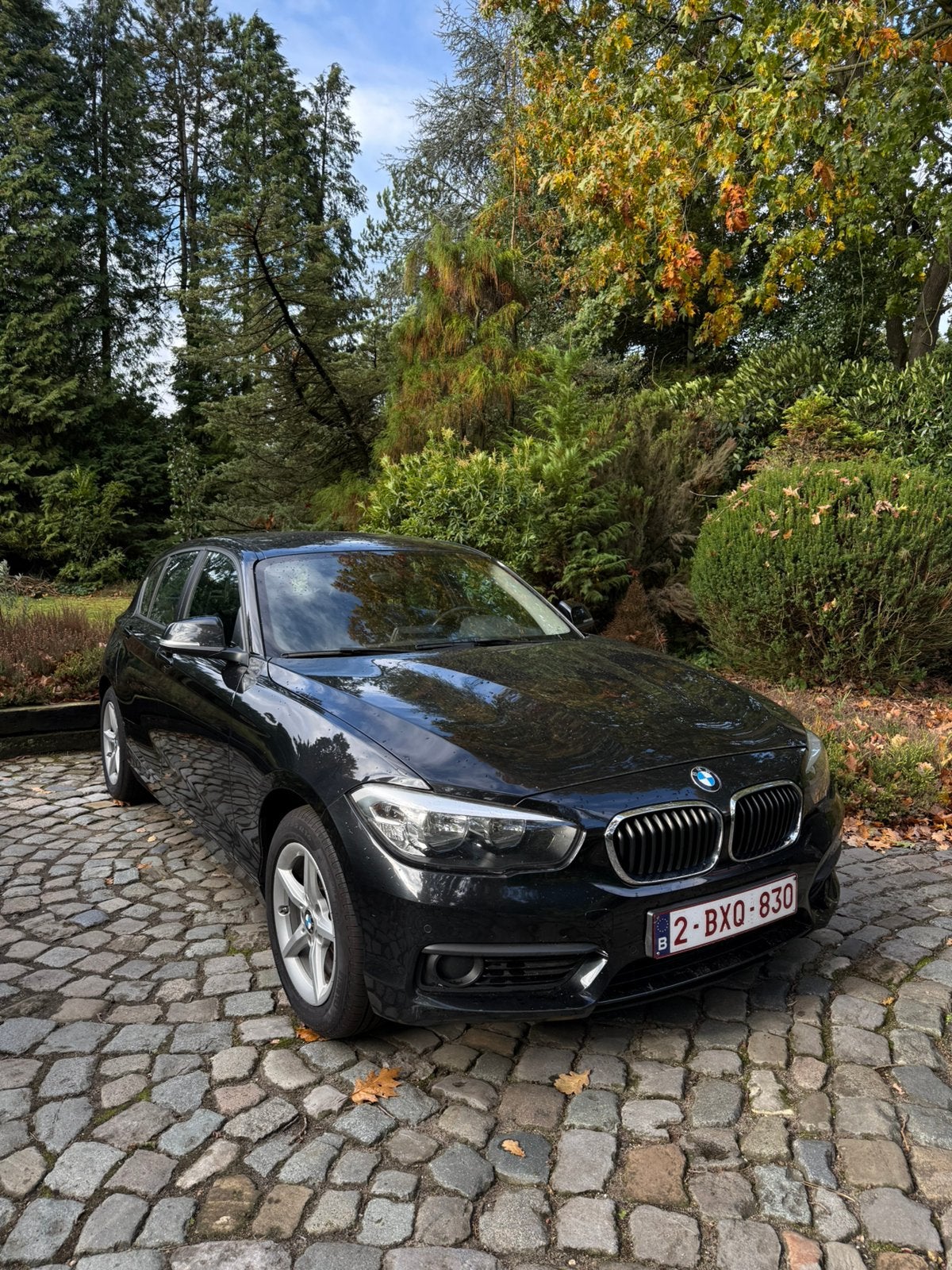 BMW 116d Advantage – 2017 – 5 deuren, Auto's, Zwart, Leder, 5 deurs, Particulier