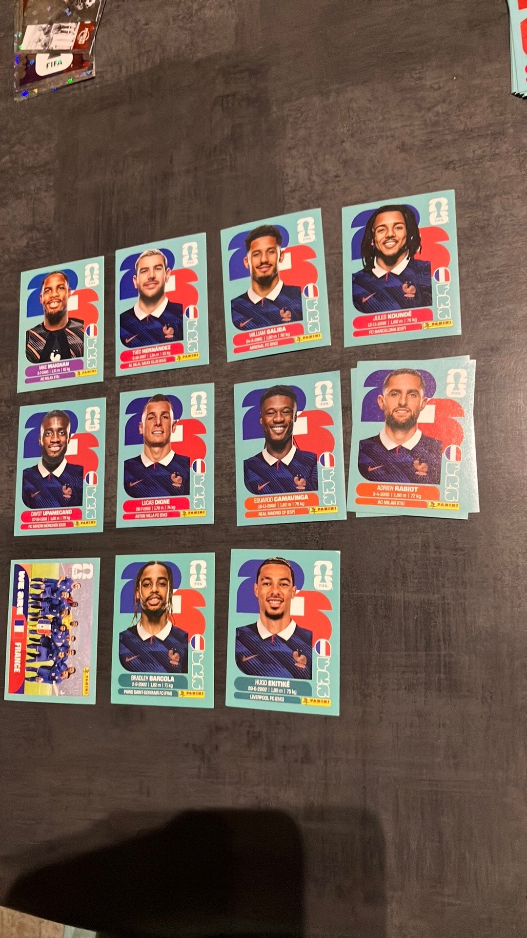 Panini stickers World Cup 2026 Frankrijk, Ophalen of Verzenden, Nieuw