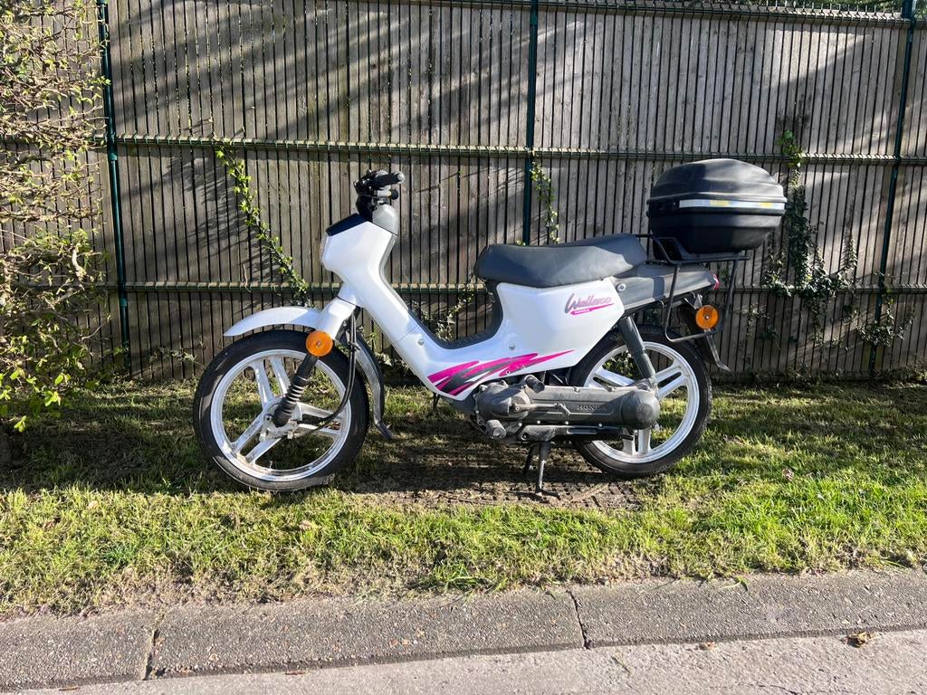 Honda Walleroo B klasse, Vélos & Vélomoteurs, Cyclomoteurs | Tomos, Utilisé, Autres modèles, Classe B (45 km/h), Enlèvement