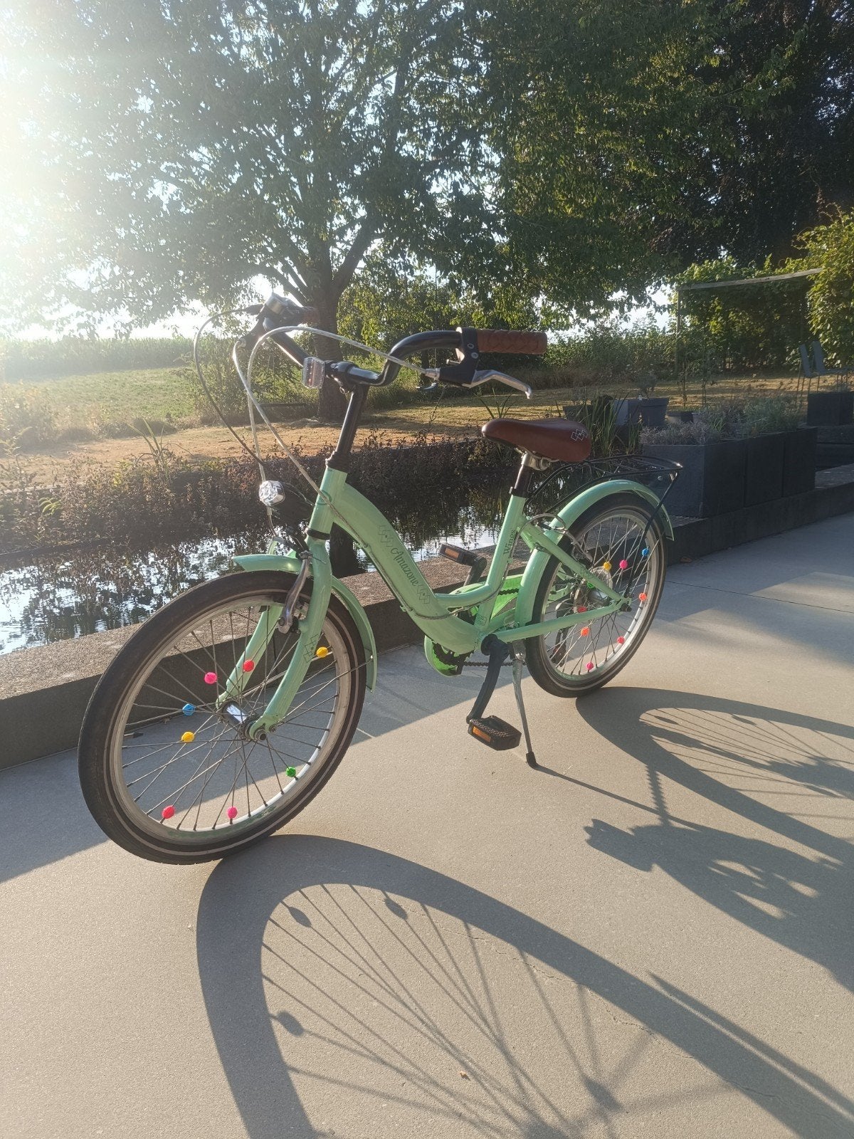 Wings Amazone meisje fiets 20 inch perfecte staat, Fietsen en Brommers, Fietsen | Meisjes, Ophalen, Zo goed als nieuw, Handrem