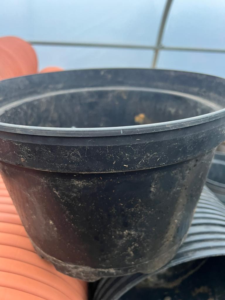 grote bloempotten kweekpotten 15 liter, Enlèvement ou Envoi, 25 à 40 cm, Rond, Comme neuf
