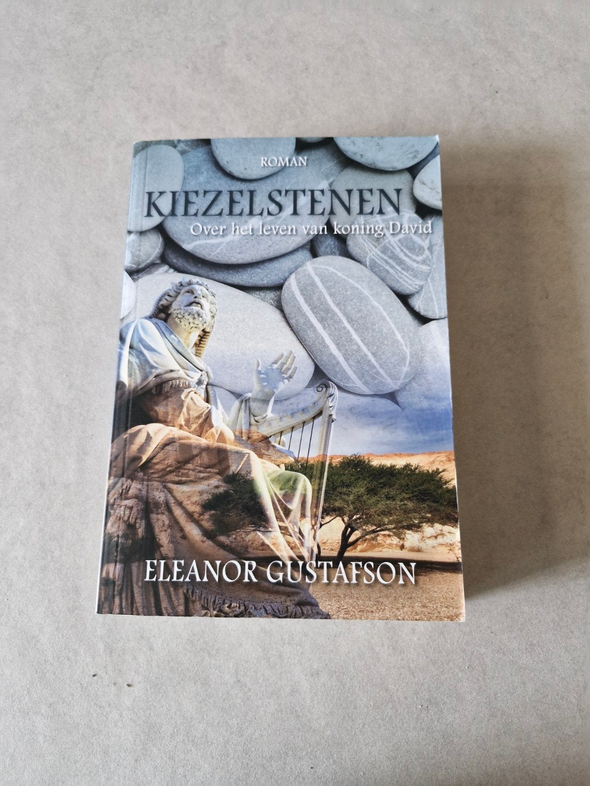 Kiezelstenen - Eleanor Gustafson, Livres, Romans historiques, Envoi