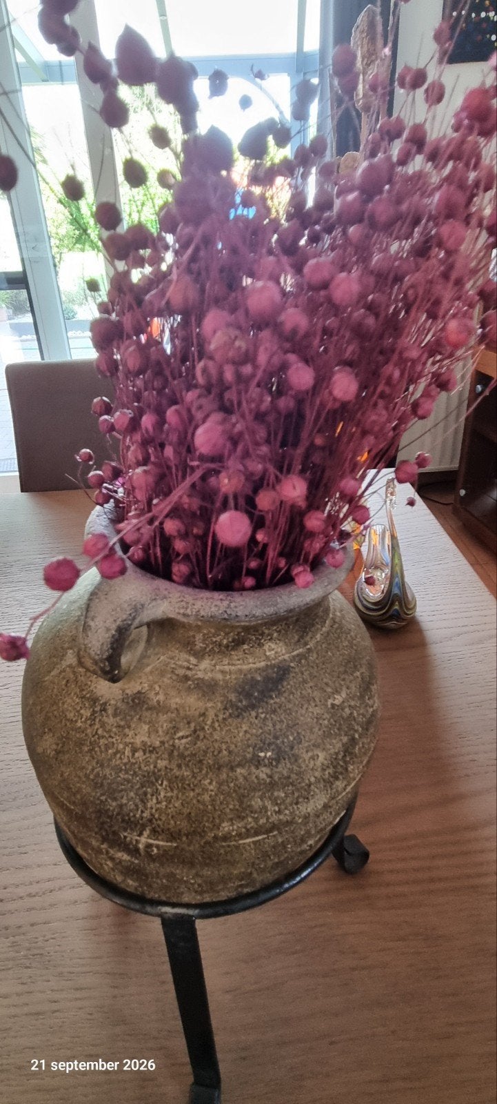 Bruine vaas met rose gedroogde bloemen, Ophalen