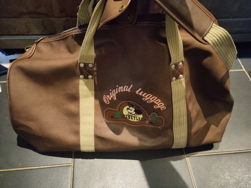 Vintage Disney duffelbag, 40 tot 60 cm, 20 tot 30 cm, Minder dan 35 cm, Ophalen of Verzenden