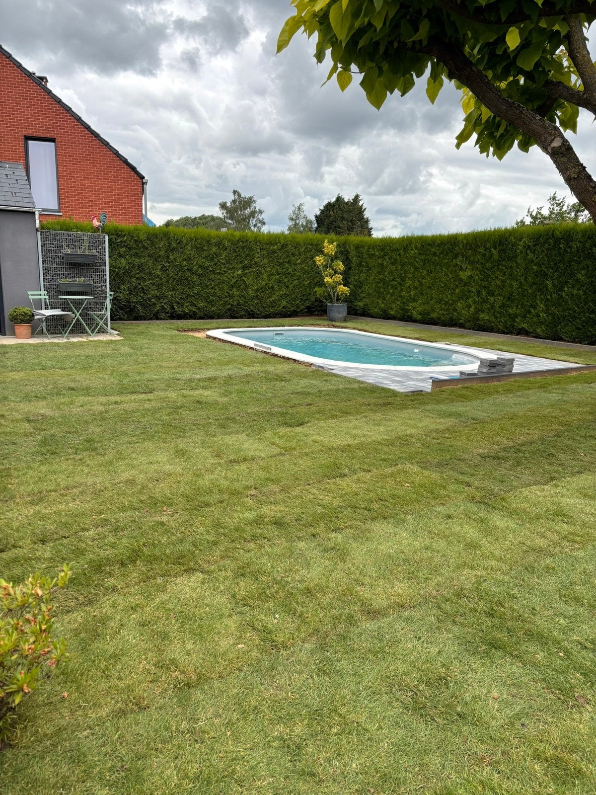 Tonte et création pelouse, Jardin & Terrasse, Enlèvement, Neuf