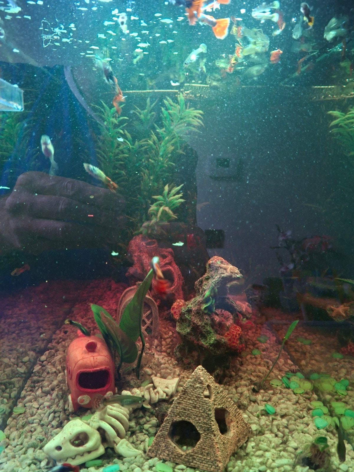 Juwel aquarium 180 liter, met vissen en veel extra's, Ophalen, Gebruikt, Gevuld zoetwateraquarium, Inclusief controller