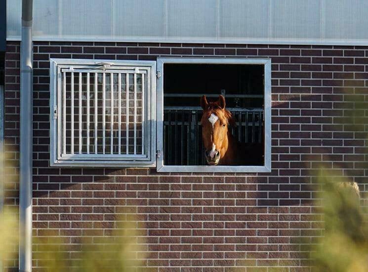 66 Stalraam | Thermisch verzinkte stalramen | stalraam paard, Dieren en Toebehoren, Stalling en Weidegang, Stalling, 1 paard of pony