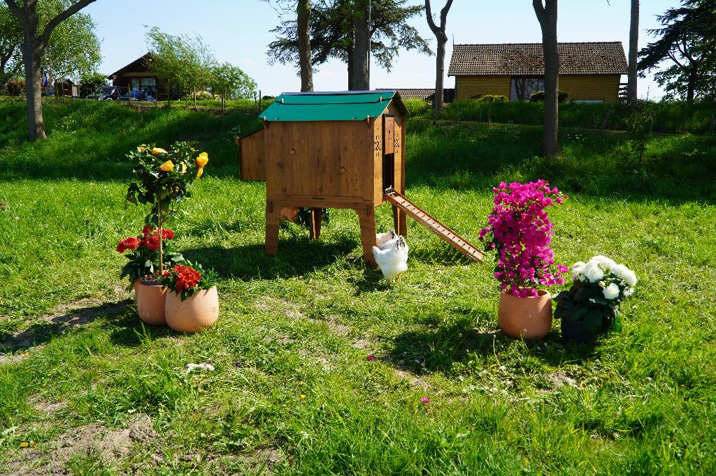 Trespa Kippenhok Cucciolotta | Duplex L, Ophalen of Verzenden