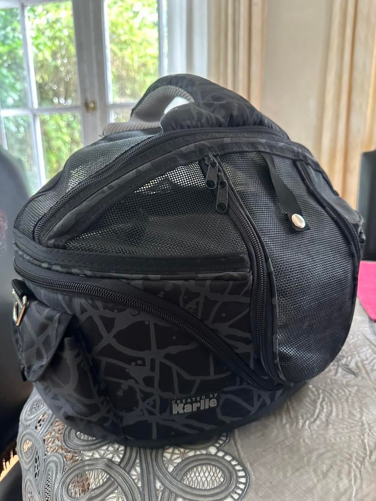 Draagtas/ honden mand auto ( of kat ), Ophalen of Verzenden, Gebruikt