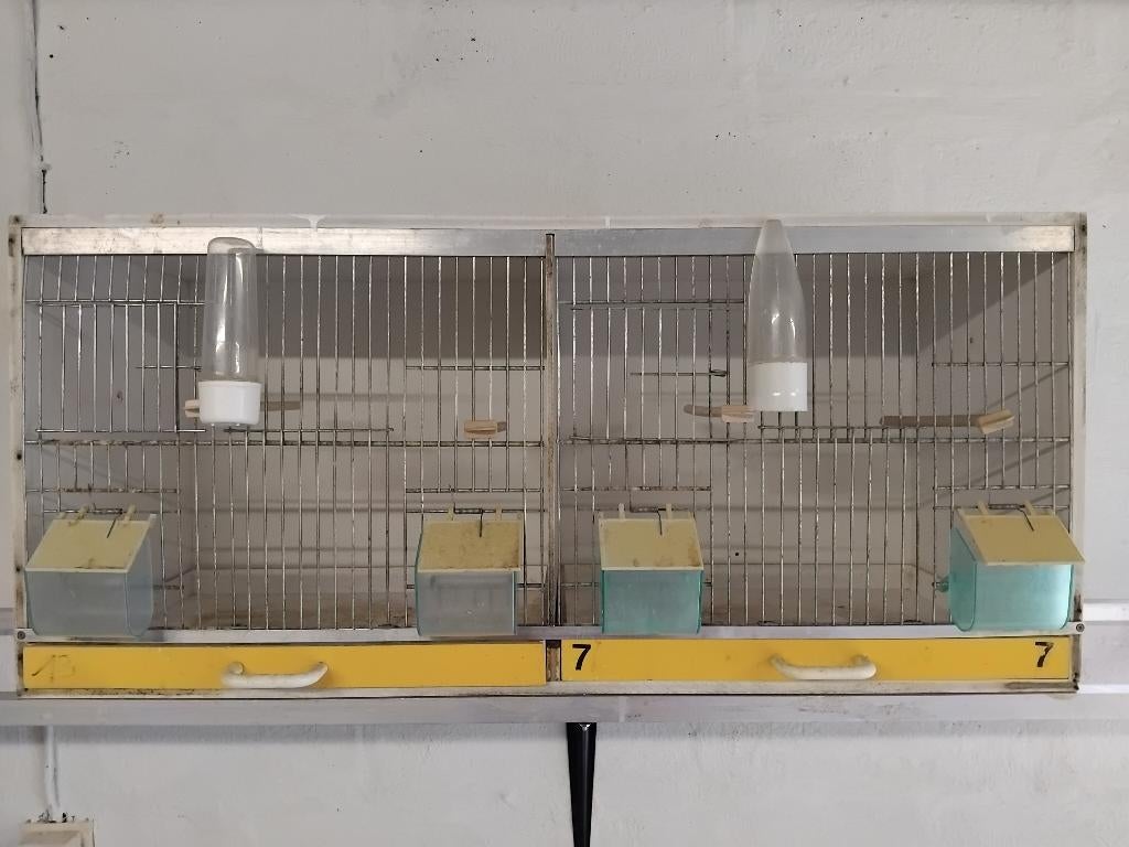 cages élevage canaris, Ophalen, Gebruikt, Kunststof, Broedkooi of Kweekkooi