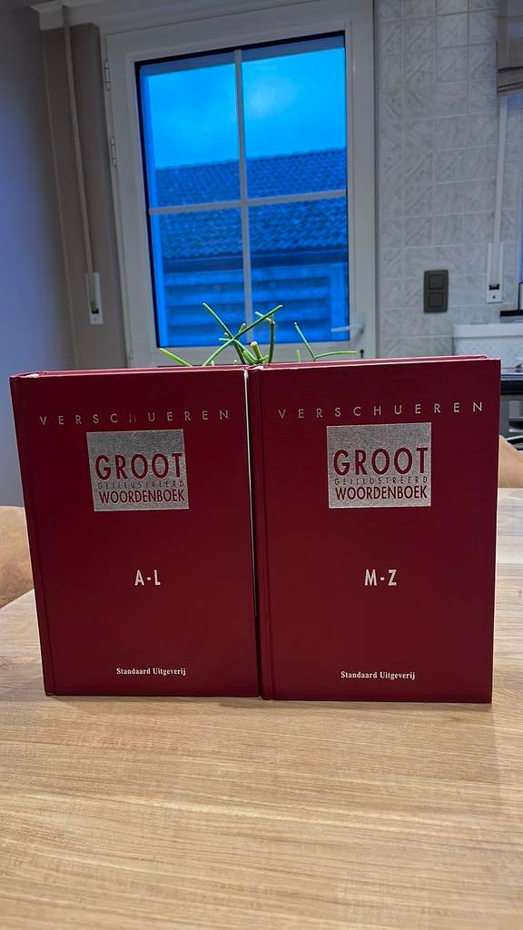 Verschueren groot geillustreerd woordenboek., Boeken, Ophalen, Zo goed als nieuw