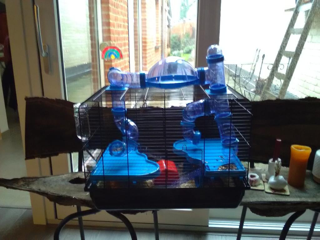 hamsterkooi/hok, Animaux & Accessoires, Rongeurs & Lapins | Cages & Clapiers, Comme neuf, Cage, Moins de 60 cm, Moins de 75 cm