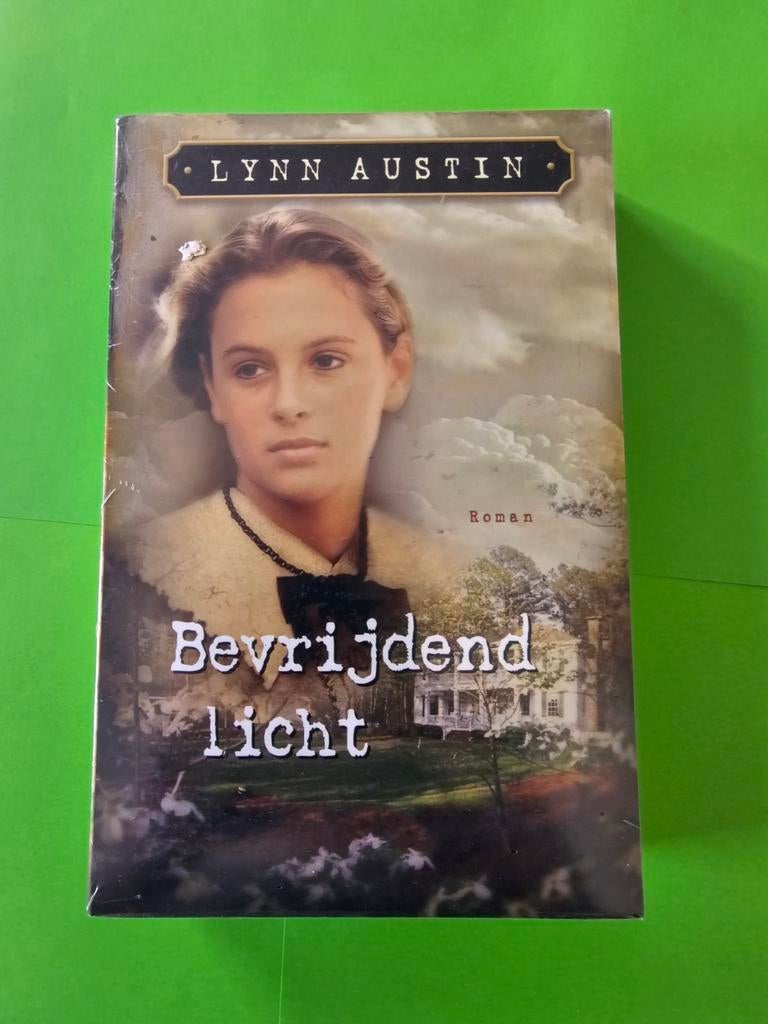 Lynn Austin - Bevrijdend licht, Boeken, Ophalen of Verzenden, Zo goed als nieuw, Lynn Austin