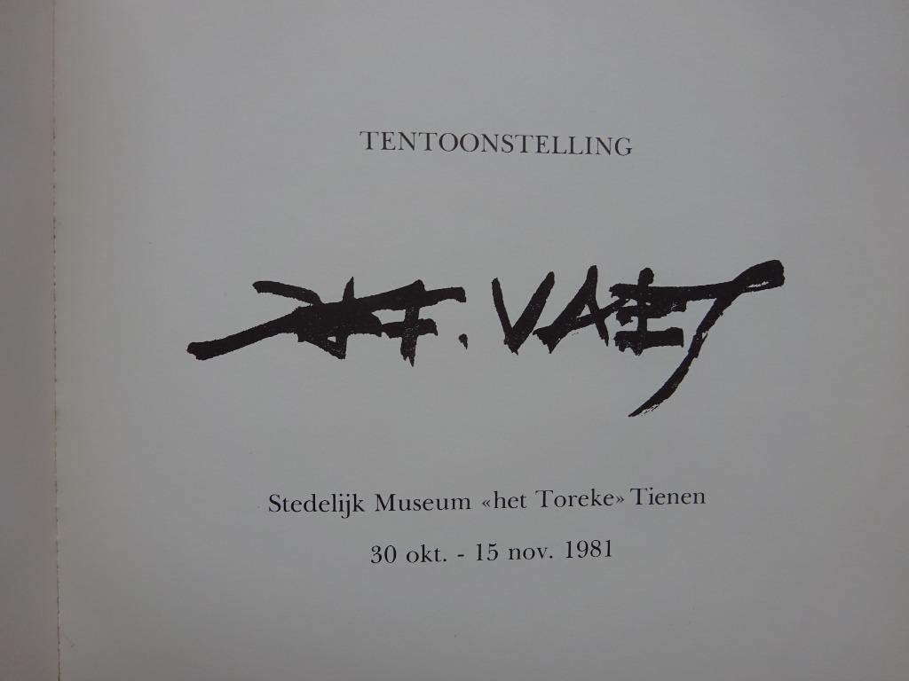 Jef Vaes, monografie, catalogus Museum Tienen, 1981, Boeken, Ophalen of Verzenden, Zo goed als nieuw, Schilder- en Tekenkunst